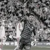 hamza_pesll