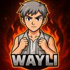 wayli_exe
