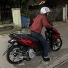 nplsybnn_
