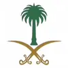reemaazizi3