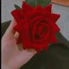 user814197320420