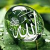 🥰Islamic.video🥰