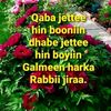 tokkichaa12alaa1