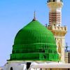 zain_insight