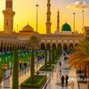 hassnain8174