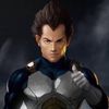 vegeta41117