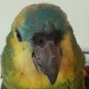 unrandomi12