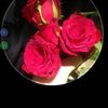 mis.maya7997
