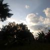 nandoookecil2