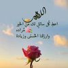 ahmed.ebrahim7951