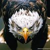 asad.k417