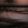 xanm_2008s