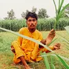 Jani nasir