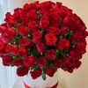 sanwalg206
