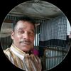 user19586930449301