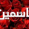 user483238516241