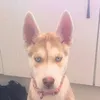 lucyb8682