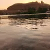 mlkmogijt