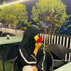 maisha.sawda
