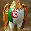 user8331160029328