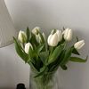 user5810065251299
