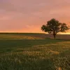 niki45_e7