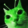 oscarsmellsverynice