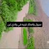 user92599583183273