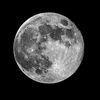 moonlover711