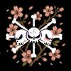 new.age.pirates.s