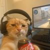 sodacatcular