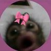 morsfvfhgedu
