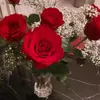 zahramou31