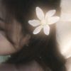 rose4556773