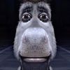 bignose_big_gardenhose