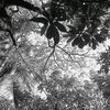 soff02_4