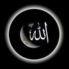 user3821281161559