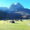 ttuzeacks