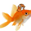 the_fishmael