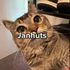 janshuts