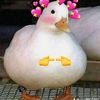 zahra_amni123