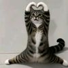 llouvpiez