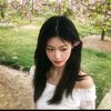 fairy_rosea