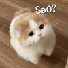 luydoraemon
