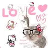 hng.phng8346