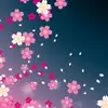 meeshi1804