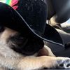 ramirez_0563