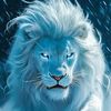 mehtab.wazir471