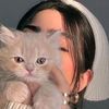 mumtaz.rasheed00