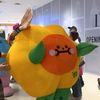 sun_flowers182